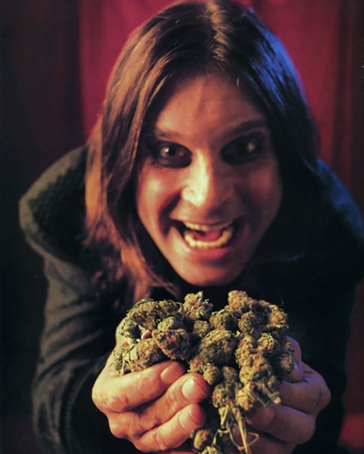 Top Ten Songs About Pot You Should Know From The Seventies - The Vintage  Stoner